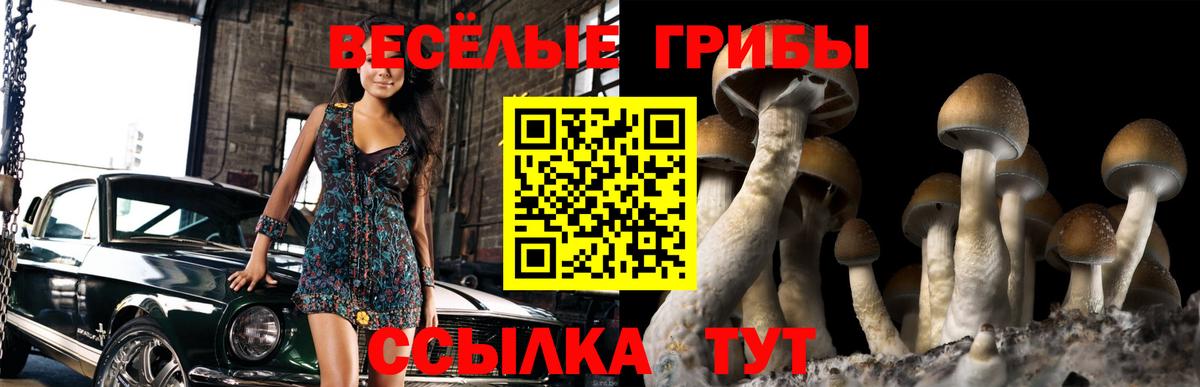 Псилоцибиновые грибы мицелий  Вход с VPN  закладка  Медногорск 